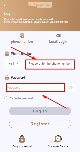 Enter the registered mobile number and password