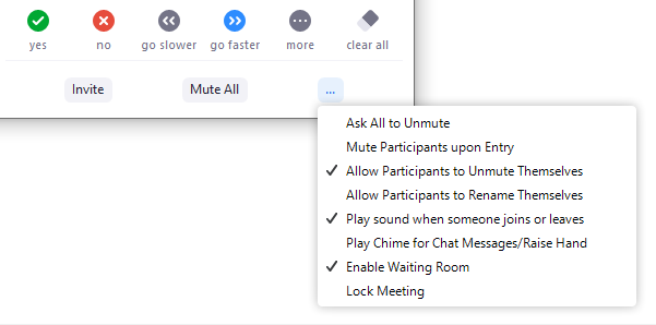 Managing Participants in Zoom