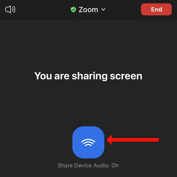 Sharing Your Screen and Audio: Step-by-Step Process