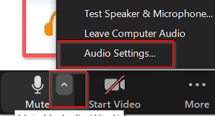 Video and Audio Control in Zoom